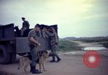 Image of sentry dogs Tan Son Nhut Air Force Base Vietnam, 1965, second 57 stock footage video 65675028507