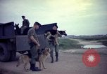 Image of sentry dogs Tan Son Nhut Air Force Base Vietnam, 1965, second 58 stock footage video 65675028507