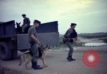 Image of sentry dogs Tan Son Nhut Air Force Base Vietnam, 1965, second 59 stock footage video 65675028507