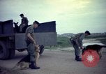 Image of sentry dogs Tan Son Nhut Air Force Base Vietnam, 1965, second 61 stock footage video 65675028507