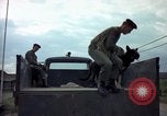 Standbild sentry Hunde Tan Son Nhut Air Force Base Vietnam, 1965, aus Sekunde 36 historischem Filmmaterial Videoclip 65675028508