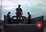 Standbild sentry Hunde Tan Son Nhut Air Force Base Vietnam, 1965, aus Sekunde 41 historischem Filmmaterial Videoclip 65675028508