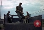 Standbild sentry Hunde Tan Son Nhut Air Force Base Vietnam, 1965, aus Sekunde 42 historischem Filmmaterial Videoclip 65675028508