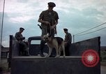 Standbild sentry Hunde Tan Son Nhut Air Force Base Vietnam, 1965, aus Sekunde 43 historischem Filmmaterial Videoclip 65675028508