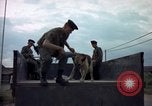 Standbild sentry Hunde Tan Son Nhut Air Force Base Vietnam, 1965, aus Sekunde 44 historischem Filmmaterial Videoclip 65675028508