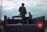 Standbild sentry Hunde Tan Son Nhut Air Force Base Vietnam, 1965, aus Sekunde 51 historischem Filmmaterial Videoclip 65675028508