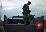 Standbild sentry Hunde Tan Son Nhut Air Force Base Vietnam, 1965, aus Sekunde 52 historischem Filmmaterial Videoclip 65675028508
