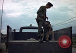 Standbild sentry Hunde Tan Son Nhut Air Force Base Vietnam, 1965, aus Sekunde 53 historischem Filmmaterial Videoclip 65675028508