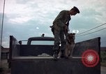 Standbild sentry Hunde Tan Son Nhut Air Force Base Vietnam, 1965, aus Sekunde 54 historischem Filmmaterial Videoclip 65675028508