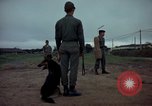 Standbild sentry Dog Training Tan Son Nhut Air Force Base Vietnam, 1965, aus Sekunde 3 historischem Filmmaterial Videoclip 65675028509