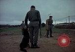 Standbild sentry Dog Training Tan Son Nhut Air Force Base Vietnam, 1965, aus Sekunde 4 historischem Filmmaterial Videoclip 65675028509