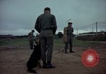 Standbild sentry Dog Training Tan Son Nhut Air Force Base Vietnam, 1965, aus Sekunde 5 historischem Filmmaterial Videoclip 65675028509