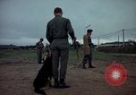 Standbild sentry Dog Training Tan Son Nhut Air Force Base Vietnam, 1965, aus Sekunde 8 historischem Filmmaterial Videoclip 65675028509