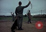 Standbild sentry Dog Training Tan Son Nhut Air Force Base Vietnam, 1965, aus Sekunde 9 historischem Filmmaterial Videoclip 65675028509