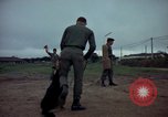 Standbild sentry Dog Training Tan Son Nhut Air Force Base Vietnam, 1965, aus Sekunde 10 historischem Filmmaterial Videoclip 65675028509