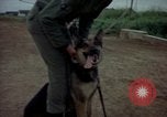 Standbild sentry Dog Training Tan Son Nhut Air Force Base Vietnam, 1965, aus Sekunde 12 historischem Filmmaterial Videoclip 65675028509