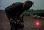 Standbild sentry Dog Training Tan Son Nhut Air Force Base Vietnam, 1965, aus Sekunde 14 historischem Filmmaterial Videoclip 65675028509