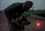 Standbild sentry Dog Training Tan Son Nhut Air Force Base Vietnam, 1965, aus Sekunde 15 historischem Filmmaterial Videoclip 65675028509