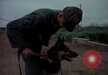 Standbild sentry Dog Training Tan Son Nhut Air Force Base Vietnam, 1965, aus Sekunde 16 historischem Filmmaterial Videoclip 65675028509
