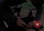 Standbild sentry Dog Training Tan Son Nhut Air Force Base Vietnam, 1965, aus Sekunde 22 historischem Filmmaterial Videoclip 65675028509