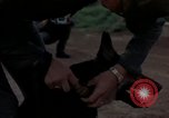Standbild sentry Dog Training Tan Son Nhut Air Force Base Vietnam, 1965, aus Sekunde 23 historischem Filmmaterial Videoclip 65675028509
