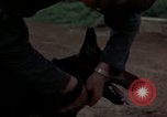 Standbild sentry Dog Training Tan Son Nhut Air Force Base Vietnam, 1965, aus Sekunde 25 historischem Filmmaterial Videoclip 65675028509