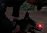 Standbild sentry Dog Training Tan Son Nhut Air Force Base Vietnam, 1965, aus Sekunde 26 historischem Filmmaterial Videoclip 65675028509