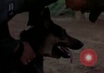 Standbild sentry Dog Training Tan Son Nhut Air Force Base Vietnam, 1965, aus Sekunde 27 historischem Filmmaterial Videoclip 65675028509