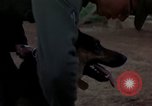 Standbild sentry Dog Training Tan Son Nhut Air Force Base Vietnam, 1965, aus Sekunde 28 historischem Filmmaterial Videoclip 65675028509