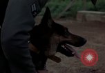 Standbild sentry Dog Training Tan Son Nhut Air Force Base Vietnam, 1965, aus Sekunde 29 historischem Filmmaterial Videoclip 65675028509