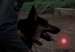 Standbild sentry Dog Training Tan Son Nhut Air Force Base Vietnam, 1965, aus Sekunde 30 historischem Filmmaterial Videoclip 65675028509