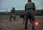Standbild sentry Dog Training Tan Son Nhut Air Force Base Vietnam, 1965, aus Sekunde 36 historischem Filmmaterial Videoclip 65675028509