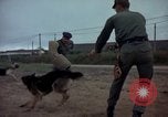 Standbild sentry Dog Training Tan Son Nhut Air Force Base Vietnam, 1965, aus Sekunde 37 historischem Filmmaterial Videoclip 65675028509