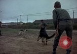 Standbild sentry Dog Training Tan Son Nhut Air Force Base Vietnam, 1965, aus Sekunde 42 historischem Filmmaterial Videoclip 65675028509