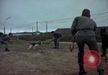 Standbild sentry Dog Training Tan Son Nhut Air Force Base Vietnam, 1965, aus Sekunde 43 historischem Filmmaterial Videoclip 65675028509