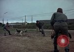 Standbild sentry Dog Training Tan Son Nhut Air Force Base Vietnam, 1965, aus Sekunde 44 historischem Filmmaterial Videoclip 65675028509