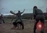 Standbild sentry Dog Training Tan Son Nhut Air Force Base Vietnam, 1965, aus Sekunde 45 historischem Filmmaterial Videoclip 65675028509