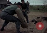 Standbild sentry Dog Training Tan Son Nhut Air Force Base Vietnam, 1965, aus Sekunde 48 historischem Filmmaterial Videoclip 65675028509