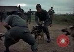 Standbild sentry Dog Training Tan Son Nhut Air Force Base Vietnam, 1965, aus Sekunde 49 historischem Filmmaterial Videoclip 65675028509