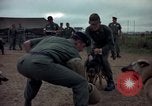 Standbild sentry Dog Training Tan Son Nhut Air Force Base Vietnam, 1965, aus Sekunde 50 historischem Filmmaterial Videoclip 65675028509