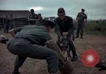 Standbild sentry Dog Training Tan Son Nhut Air Force Base Vietnam, 1965, aus Sekunde 51 historischem Filmmaterial Videoclip 65675028509
