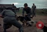 Standbild sentry Dog Training Tan Son Nhut Air Force Base Vietnam, 1965, aus Sekunde 52 historischem Filmmaterial Videoclip 65675028509