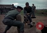 Standbild sentry Dog Training Tan Son Nhut Air Force Base Vietnam, 1965, aus Sekunde 53 historischem Filmmaterial Videoclip 65675028509