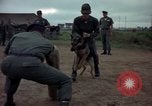 Standbild sentry Dog Training Tan Son Nhut Air Force Base Vietnam, 1965, aus Sekunde 54 historischem Filmmaterial Videoclip 65675028509