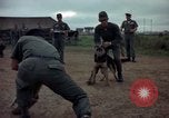 Standbild sentry Dog Training Tan Son Nhut Air Force Base Vietnam, 1965, aus Sekunde 55 historischem Filmmaterial Videoclip 65675028509