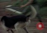 Standbild sentry Dog Training Tan Son Nhut Air Force Base Vietnam, 1965, aus Sekunde 58 historischem Filmmaterial Videoclip 65675028509