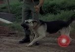Standbild sentry Dog Training Tan Son Nhut Air Force Base Vietnam, 1965, aus Sekunde 61 historischem Filmmaterial Videoclip 65675028509