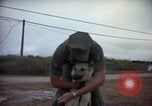 Standbild sentry Hunde Tan Son Nhut Air Force Base Vietnam, 1965, aus Sekunde 5 historischem Filmmaterial Videoclip 65675028510