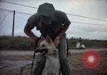 Standbild sentry Hunde Tan Son Nhut Air Force Base Vietnam, 1965, aus Sekunde 6 historischem Filmmaterial Videoclip 65675028510