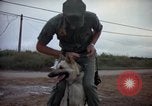 Standbild sentry Hunde Tan Son Nhut Air Force Base Vietnam, 1965, aus Sekunde 7 historischem Filmmaterial Videoclip 65675028510